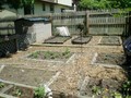 What a garden spot! Existing raspberry and strawberry plants plus room for lots of veggies.
