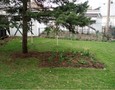 Landscaped, private backyard